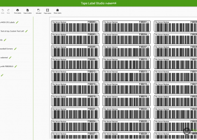 Modo automático de Label Label Studio